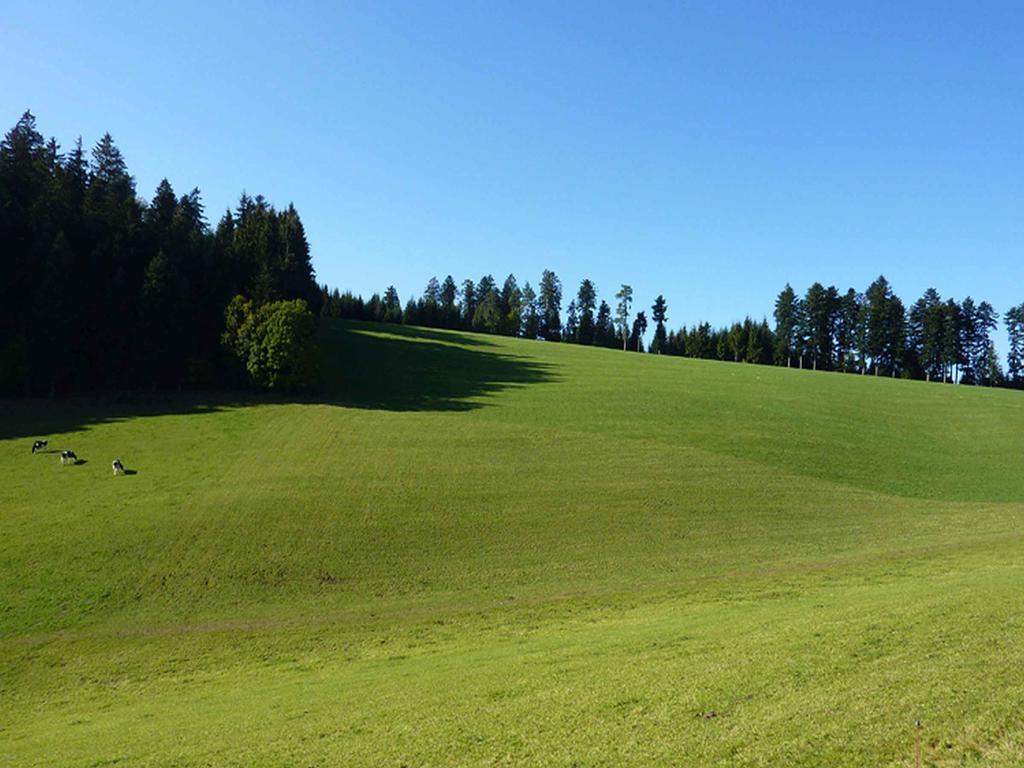 Haus Harter Lägenhet Wolfach Exteriör bild